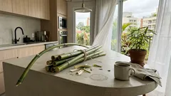 O bambu parece simples: 8 lições de flexibilidade e resiliência para atravessar mudanças sem se quebrar