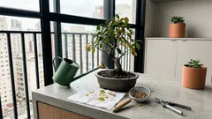 Seu bonsai só está “sobrevivendo”? O que ajustar em luz, rega e repotagem para ele reagir