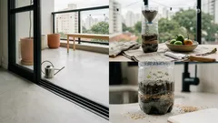 Jiló em casa: por que ele “pega” tão fácil — e o detalhe que muda tudo na hora de colher