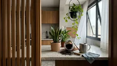 Plantas que melhoram o ar dentro de casa: o que a NASA testou e quais valem a pena