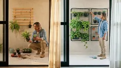 Jardim vertical sem erro: 10 ideias e os detalhes que fazem ele dar certo