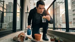 Do copo ao vaso: o ponto certo para o caroço de abacate virar uma muda forte